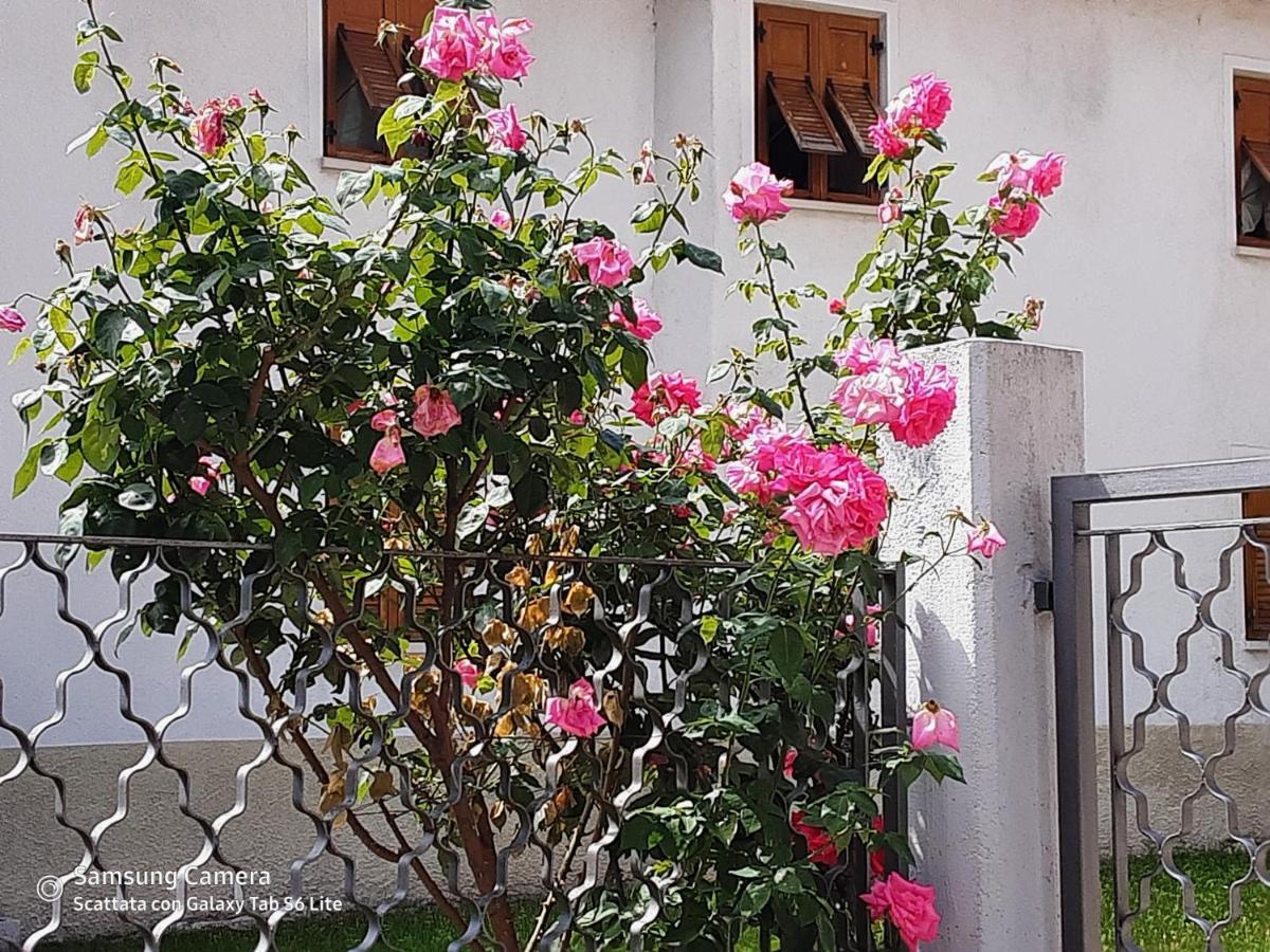 B&B Anna Rovere della Luna 外观 照片