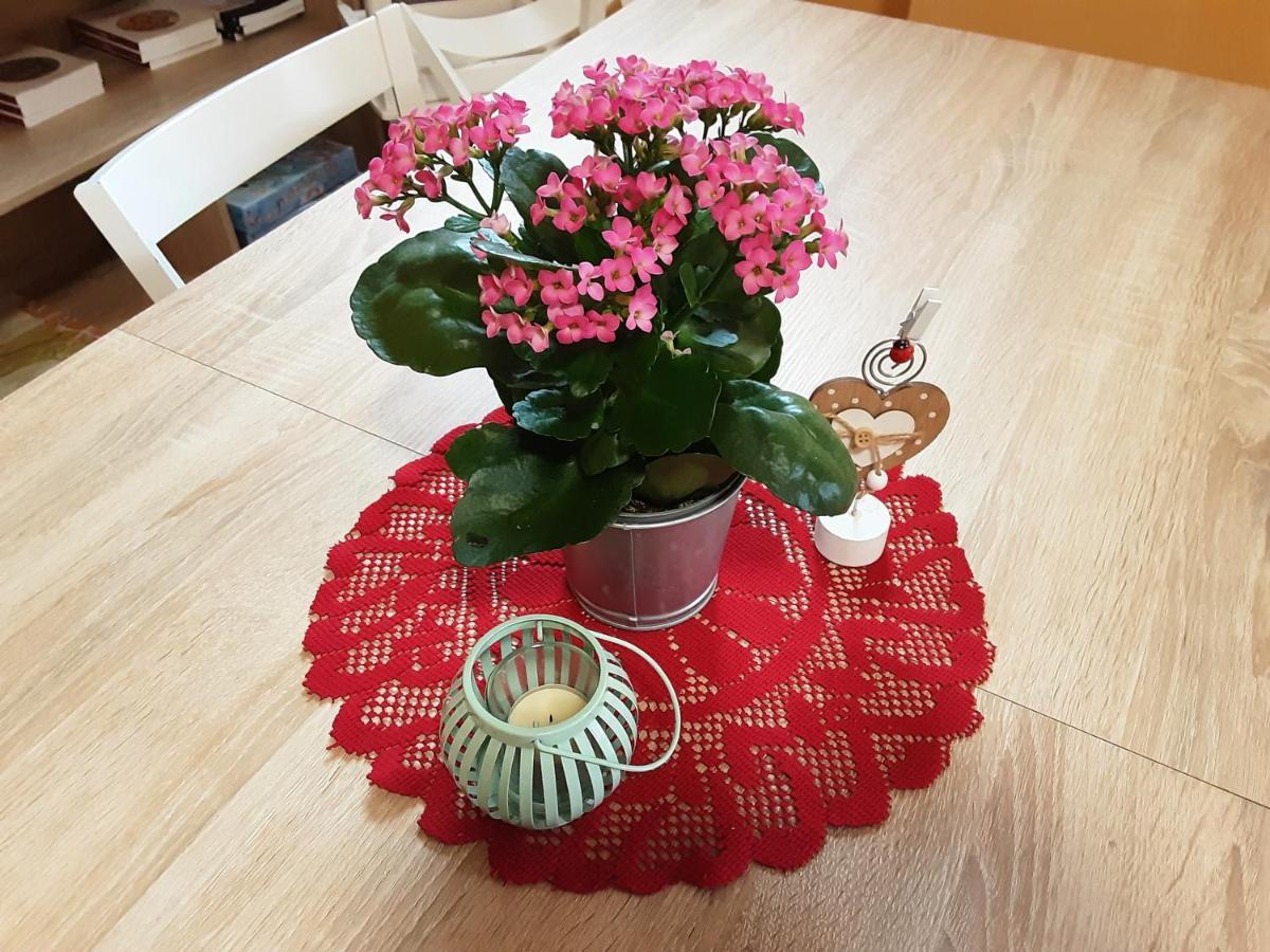 B&B Anna Rovere della Luna 外观 照片